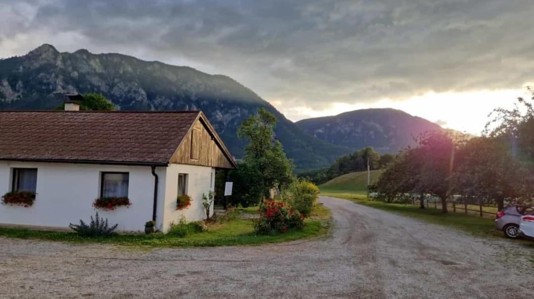 Leo-Hof Apartment Hirschwang Exterior photo