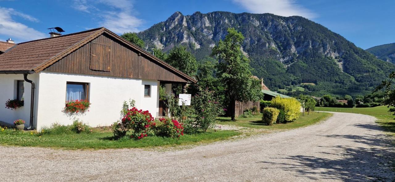 Leo-Hof Apartment Hirschwang Exterior photo